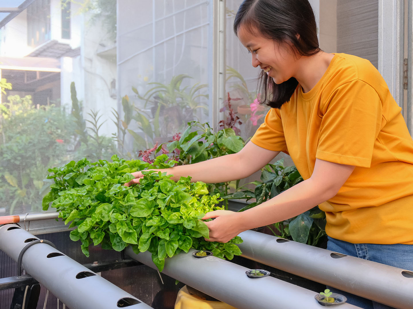 Are Hydroponic Vegetables Healthier? | Andrew Weil, M.D.