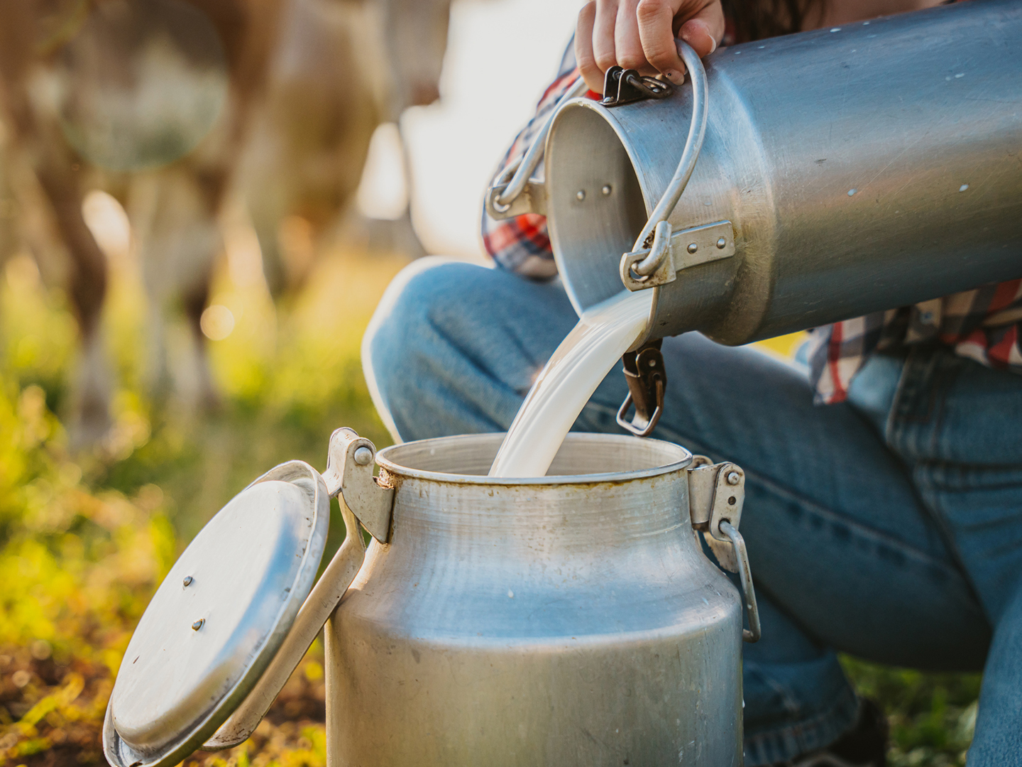 Ready for Raw Milk?