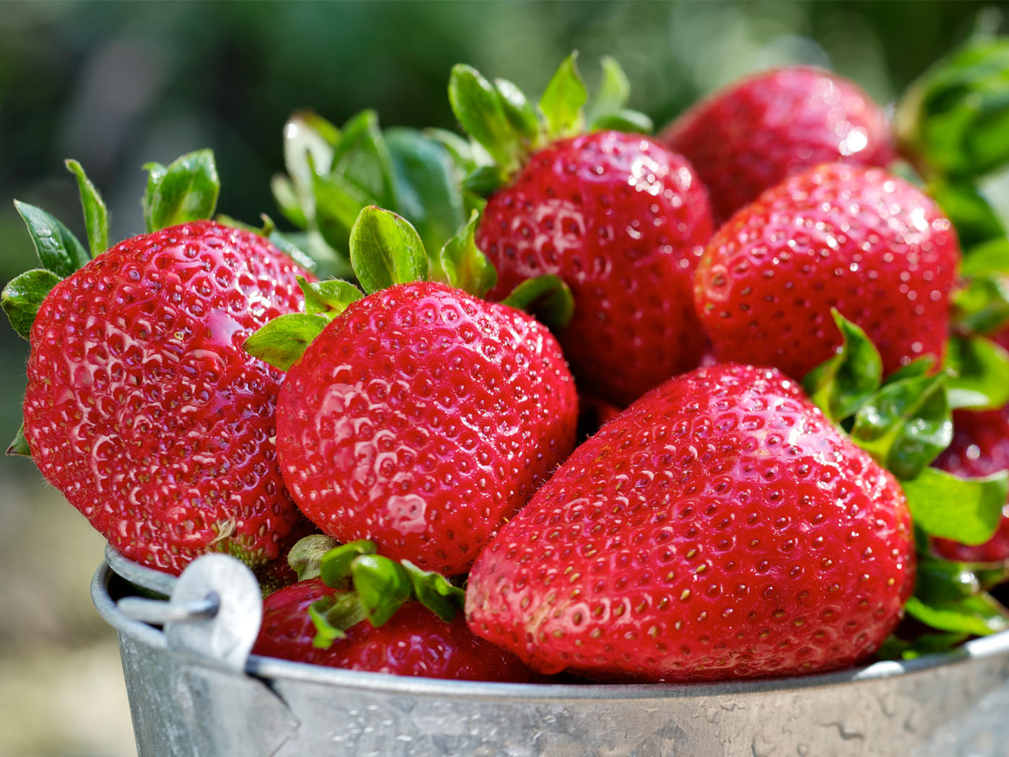 Strawberries again top 2018's 'Dirty Dozen' fruits and veggies