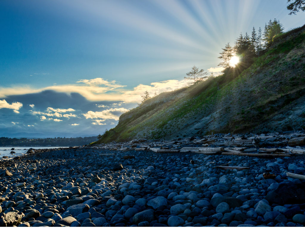 Summer Life in British Columbia