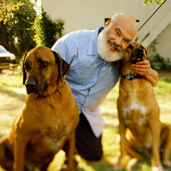 dr weil and dogs