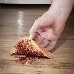 five-second-rule