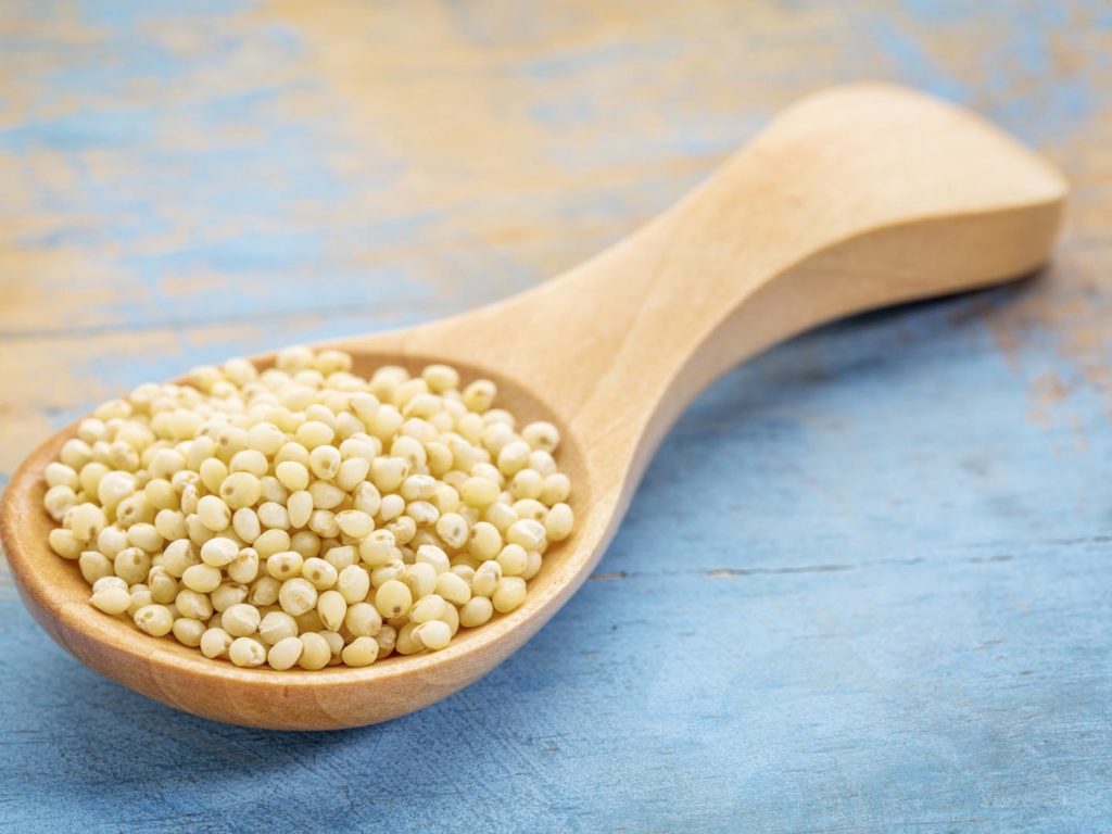 Millet Grain For Weight Loss