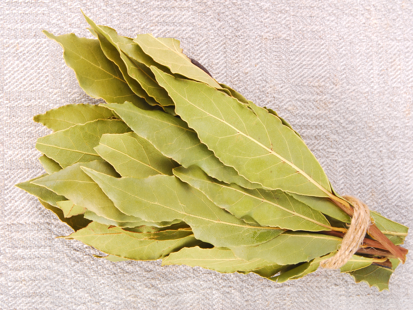 What Are Bay Leaves?