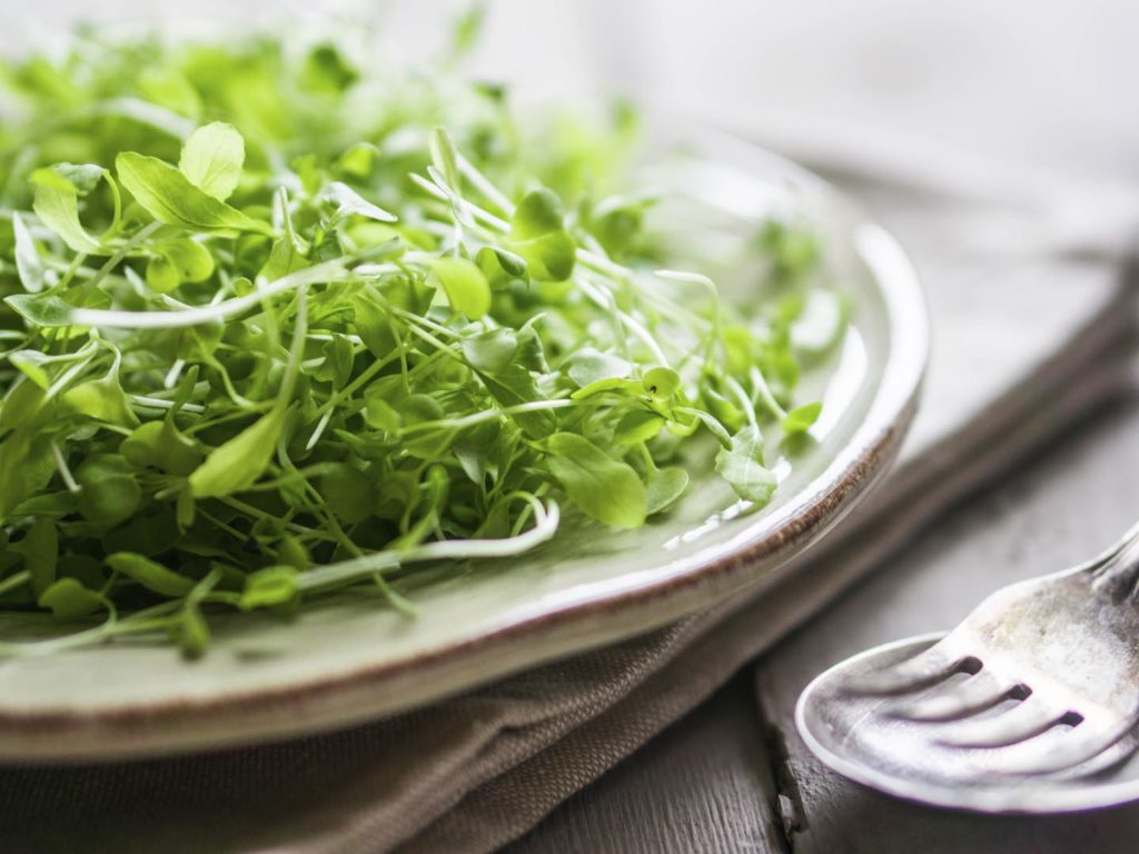 What Are Microgreens? - Ask Dr. Weil