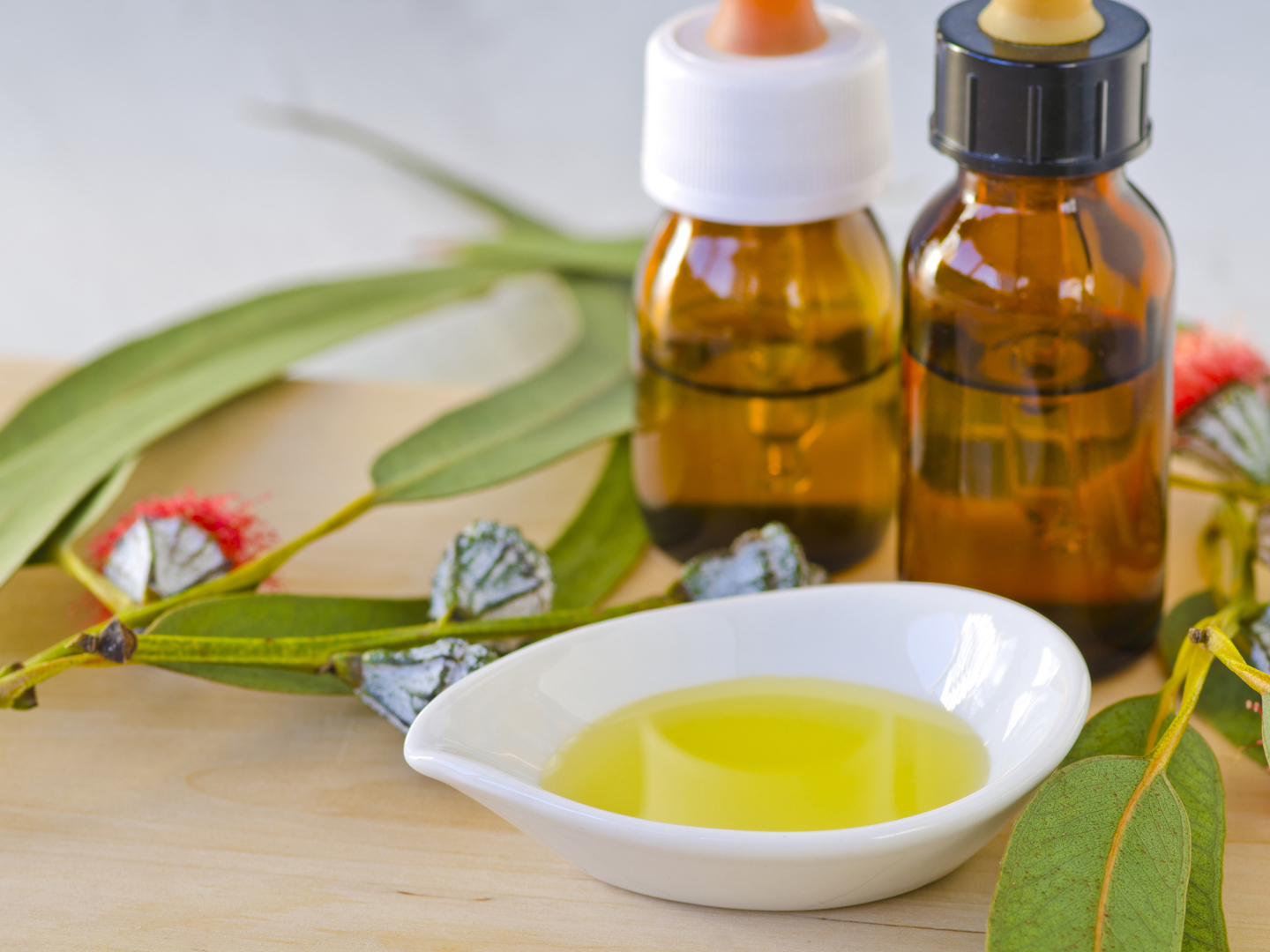 Lemon Eucalyptus Oil: Best Bug Repellent? - Ask Dr. Weil