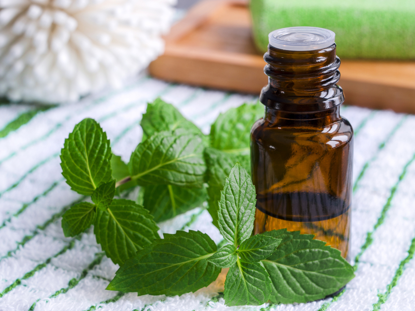 Peppermint Tea & IBS: A Guide to Relieve Digestive Discomfort