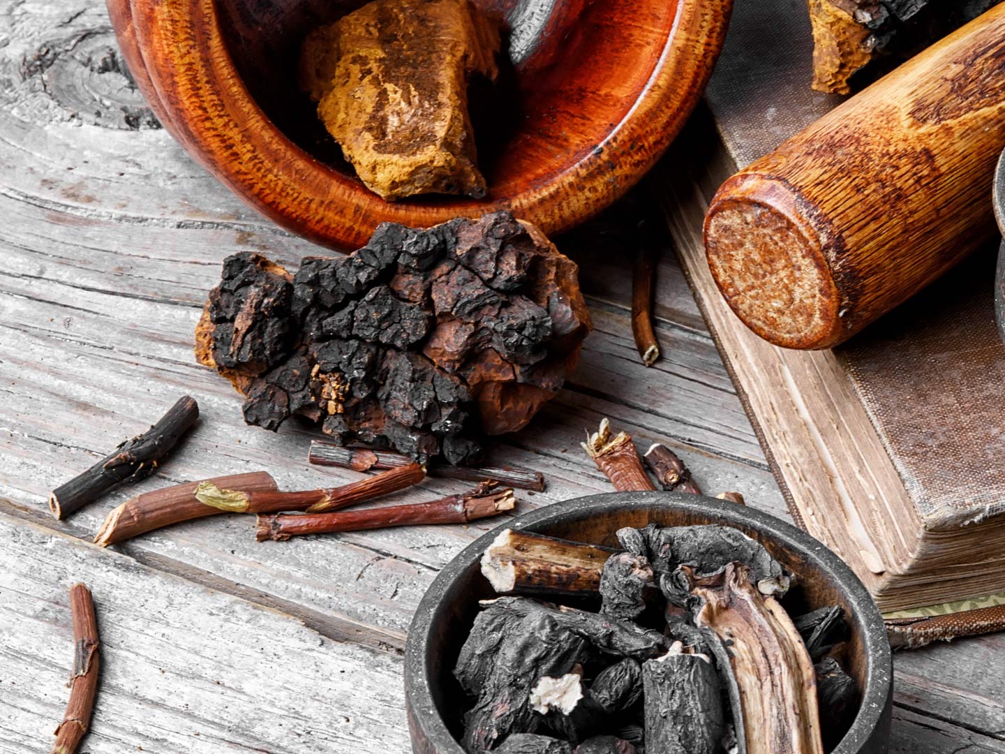 Choose Chaga Mushrooms? - Cancer, Andrew Weil, M.D.