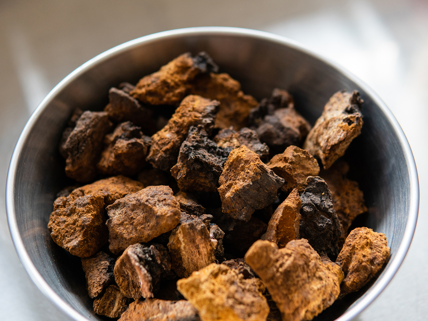 Choose Chaga Mushrooms DrWeil