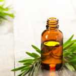 Do You Use Tea Tree Oil? Some Reasons You May Want To
