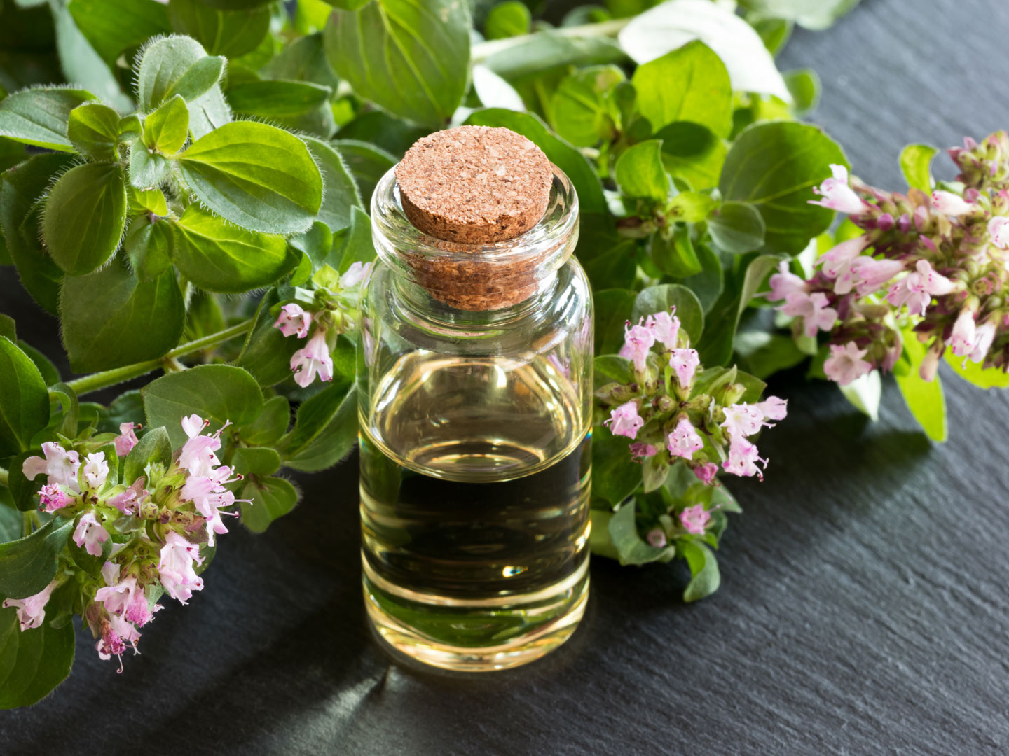 Oregano Oil, Oil Of Oregano | Guide To Essentail Oils | Andrew Weil, M.D.